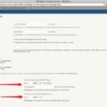 DB Options ‹ TrisHussey.com — WordPress-1